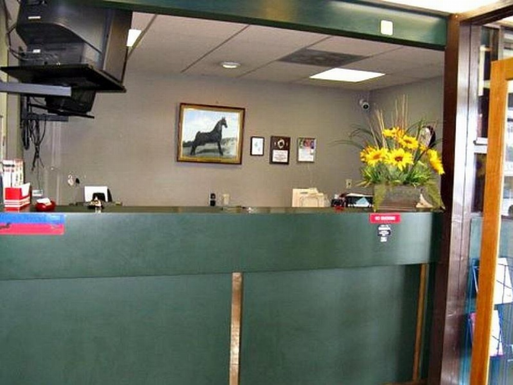 Walking Horse Lodge Main image